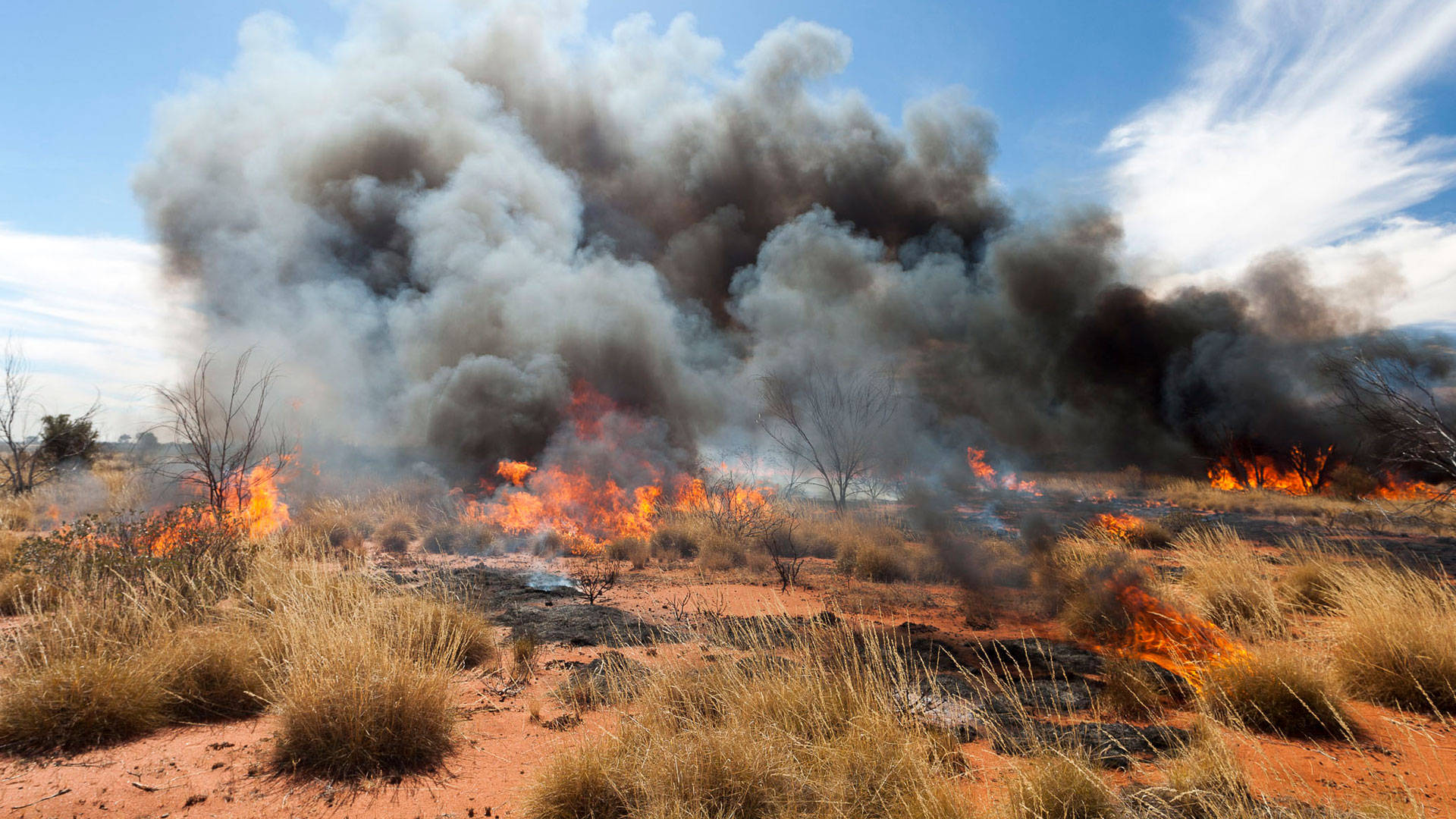 Bushfire Management Committee Information Portal | Case Study | Nova ...